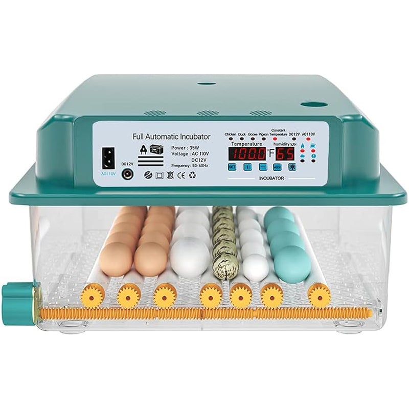 عربست حاضنات بيض 36 درجة فهرنهايت من هيثيا، مراقبة الرطوبة، بيض الدوران التلقائي، حاضنة منزلية لتفقيس البيض، حاضنات بيض السمان مع شمعة بيض - Image 1